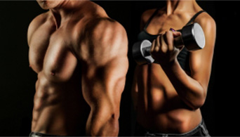 bodybuilding-article